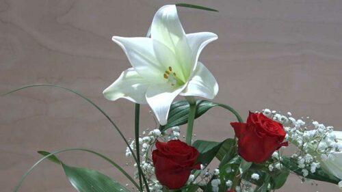 Mazzo di 3 rose rosse a gambo lungo con 3 lilium