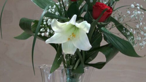 Mazzo di 3 rose rosse a gambo lungo con 3 lilium