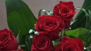 Mazzo di 12 Rose rosse a gambo lungo