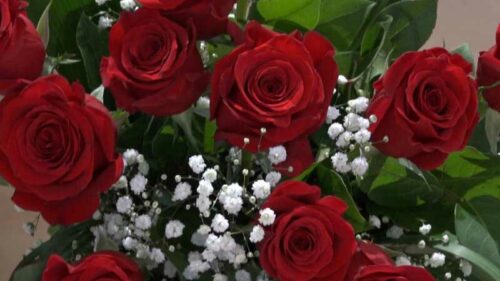 Mazzo di 12 Rose rosse a gambo lungo