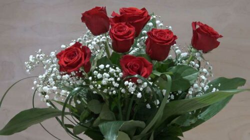 Mazzo di 7 Rose rosse a gambo lungo