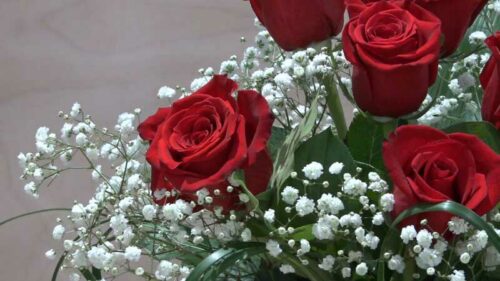 Mazzo di 7 Rose rosse a gambo lungo